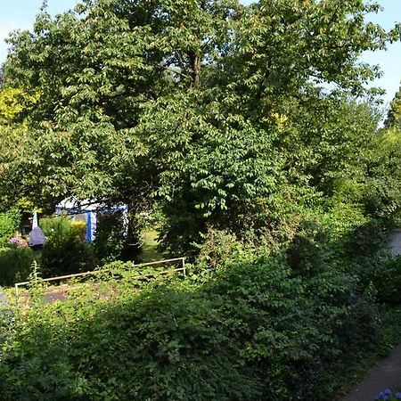 4 Sterne Ferienwohnungen Lavendel Brueggen Bruggen  Esterno foto