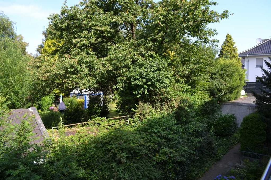 4 Sterne Ferienwohnungen Lavendel Brueggen Bruggen  Esterno foto